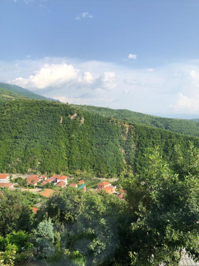 Bujtina Vrenezi Peshkopi